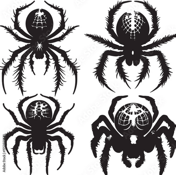 Obraz Spider text icon silhouette vector with white background