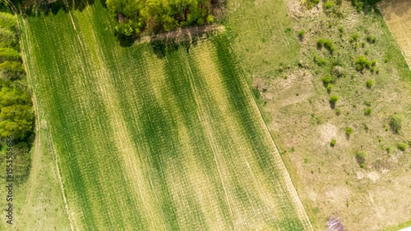 Obraz Aerial view of lush green agricultural fields bordered by sparse trees. The landscape showcases the contrast between cultivated land and natural growth in spring, representing vibrant farming.