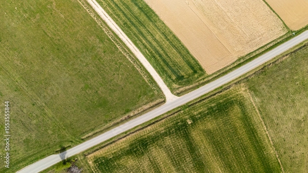 Obraz Aerial view of intersecting rural roads surrounded by vibrant green and golden fields. This picturesque farmland scene showcases organized agricultural patterns.