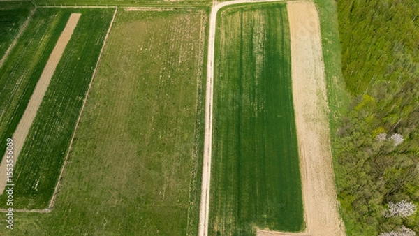 Obraz Aerial view of vibrant green and brown agricultural fields intersected by a dirt road, showcasing the beauty of rural land in springtime on a sunny day.
