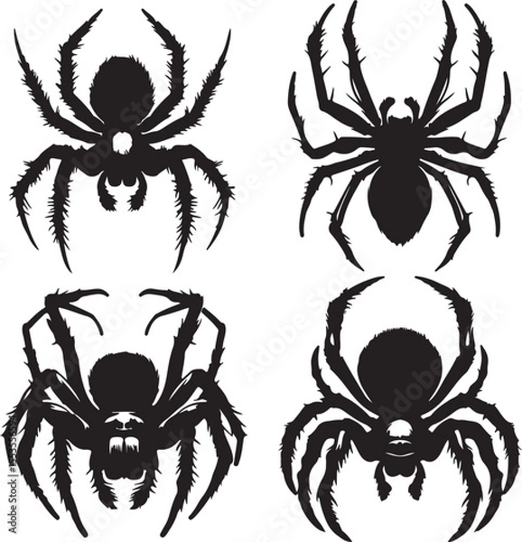 Obraz Spider text icon silhouette vector with white background