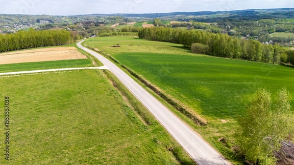 Obraz A scenic aerial view of a winding road through vibrant green fields and patches of farmland, showcasing the serene beauty of rural landscapes in springtime.
