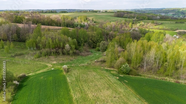 Obraz Aerial view of lush green fields and forests under a clear sky. The vibrant landscape showcases agricultural land bordered by trees, representing nature's beauty in spring.