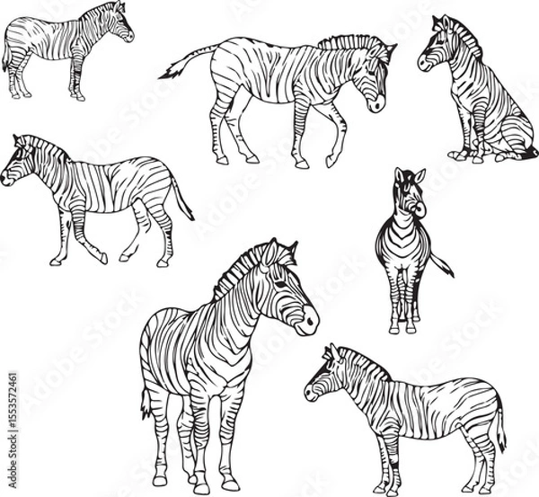 Fototapeta Elegant Zebra Line Art: Illustrations & Graphic Designs