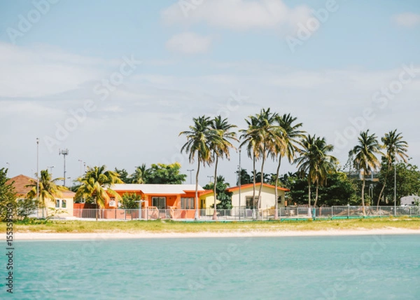 Fototapeta Colorful beach houses surrounded by palm trees along a sunny coastline in the Caribbean