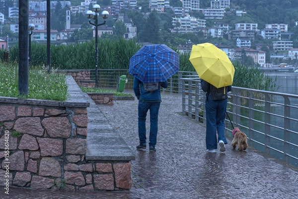 Fototapeta A couple with a dog walks by the lake in the rain.