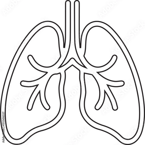 Fototapeta Depicts healthy human lungs with a clean outline, presenting a simple graphic suitable for anatomical studies, educational materials, and health awareness campaigns or logo design projects.