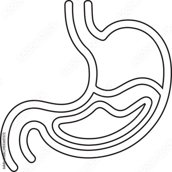 Fototapeta A simple outline drawing showing a stomach perfect for medical diagrams, educational resources, or minimalist health logos focusing on digestion and gastric health themes.