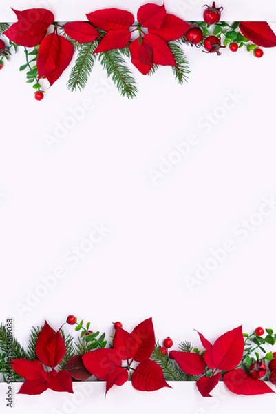 Obraz Christmas decoration. Flowers of red poinsettia, branch christmas tree, red berries with space for text on a white background. Top view, flat lay