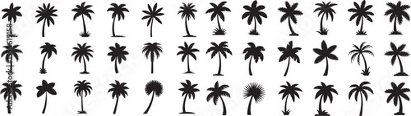 Fototapeta Palm Tree Silhouette Collection A Tropical Vector Set of Various Palm Tree Shapes and Sizes on Black Background for Exotic Designs and Summer-Themed Projects
