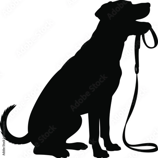 Obraz Silhouette of a Dog Sitting with a Leash, Transparent Background.