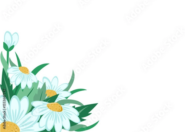 Obraz Banner, chamomile flowers on a white isolated background with space for text. For a colorful greeting card, invitation. Set of meadow flowers.