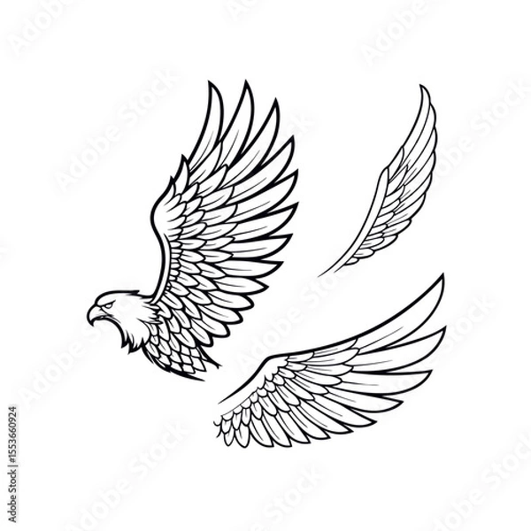 Fototapeta "Set of Stylized Wing Illustrations – Hand-drawn Vector EPS Design"

