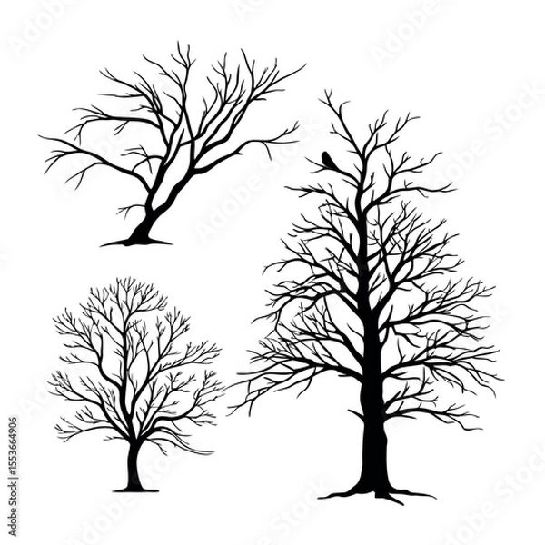 Fototapeta "Set of Dry Leafless Tree Vector Illustrations – Minimalist Black Silhouette EPS Collection"

