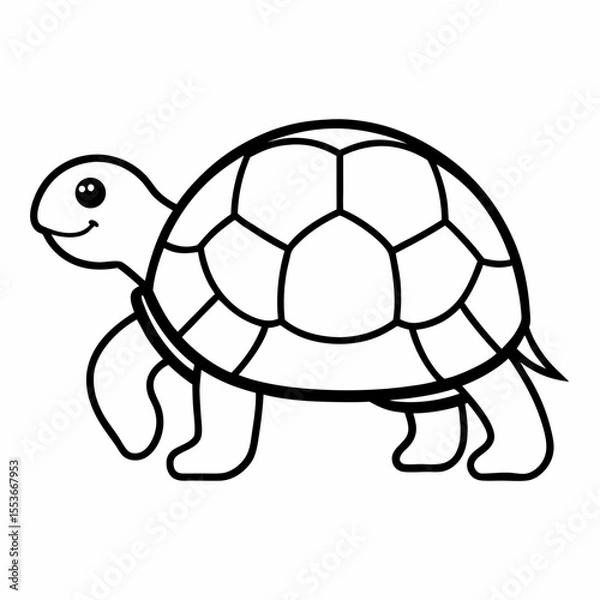 Obraz turtle vector illustration