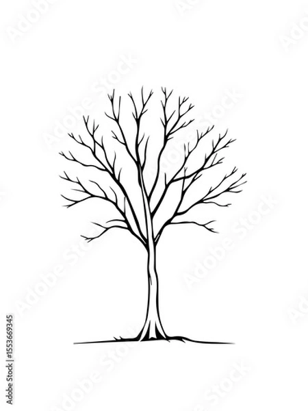 Fototapeta A barren tree with intricate branches and no leaves, depicted in a simple black outline against a white background.