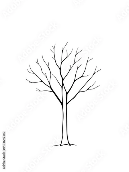 Fototapeta A simple black outline of a leafless tree with bare branches against a white background.