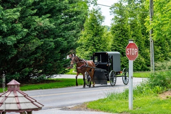 Fototapeta A horse-drawn carriage moves along a rural road, surrounded by lush greenery and trees. A stop sign indicates that the vehicle is approaching an intersection on a calm day.