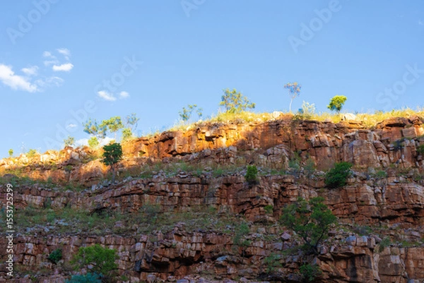 Fototapeta Side of Chamberlain Gorge red rock wall with trees on top
