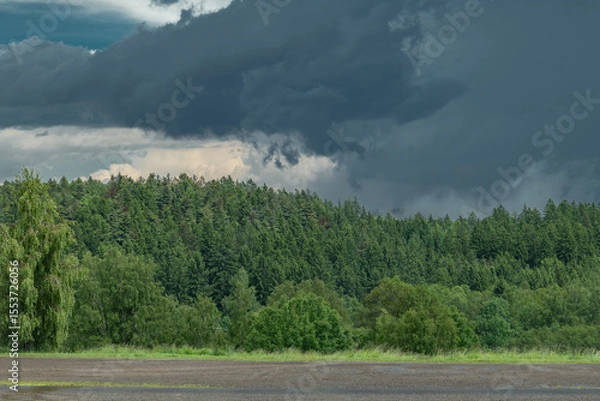 Fototapeta Green forest in mountains after storm with summer rain