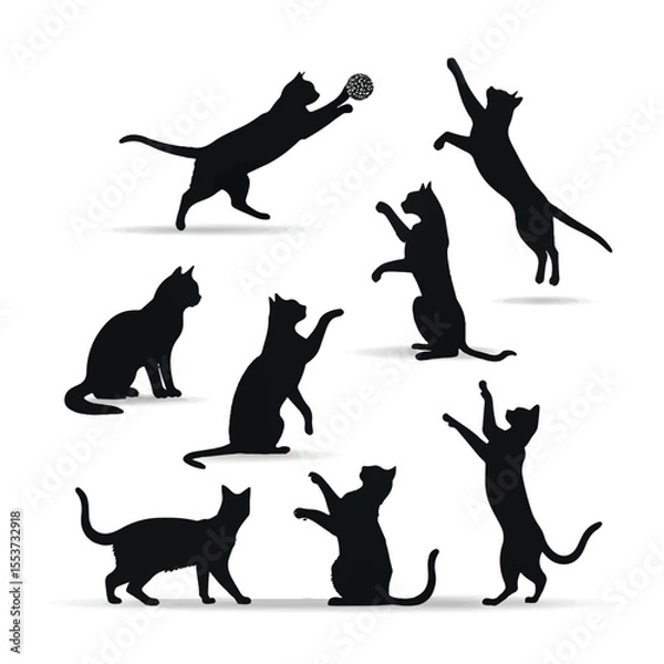 Obraz Collection of cat silhouettes in various poses isolated on background