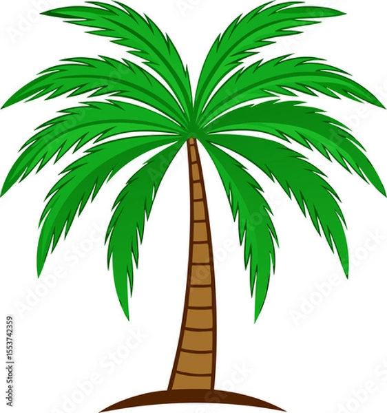 Obraz Tropical Palm Tree Illustration