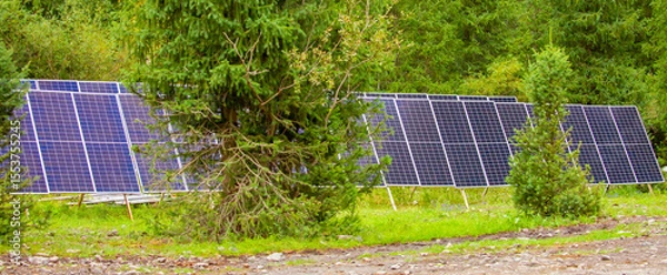 Obraz Solar panels in the forest among fir trees. Solar batteries. Ecological energy sources.