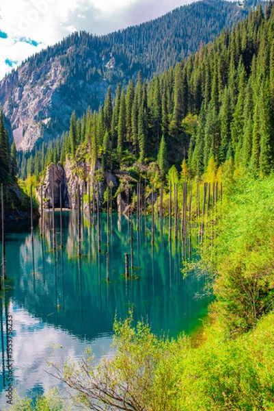 Obraz Sunken forest of Lake Kaindy in Kazakhstan. Beautiful mountain natural landscape. A blue lake with tree trunks sticking out of it. Panoramic view of the reserve.