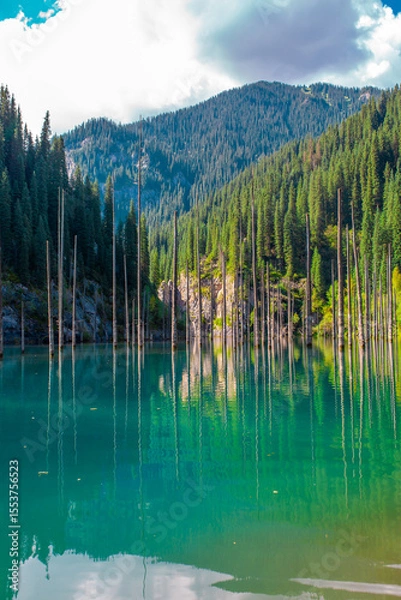 Obraz Sunken forest of Lake Kaindy in Kazakhstan. Beautiful mountain natural landscape. A blue lake with tree trunks sticking out of it. Panoramic view of the reserve.