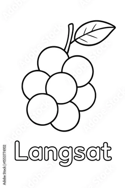 Fototapeta Simple Langsat Fruit Outline for Coloring and Educational Purposes