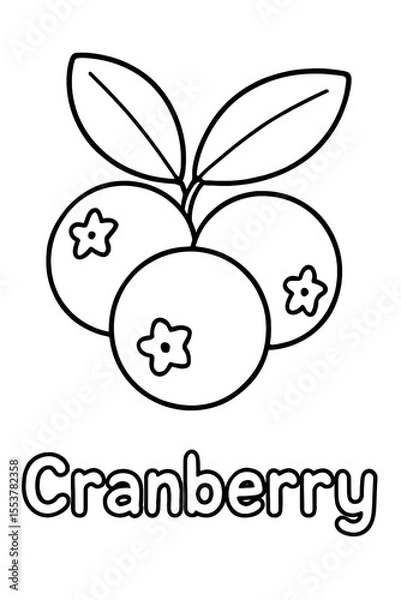 Fototapeta Cranberry Coloring Page Simple Line Art of Fresh Berries