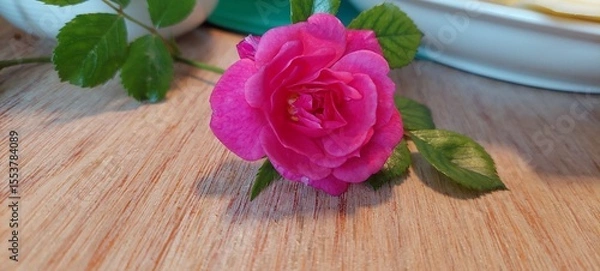 Obraz bouquet of pink roses