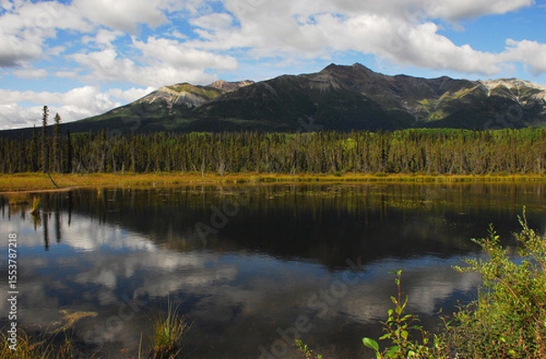 Obraz Alaska- Panoramic Landscape of Forest and Mountain Reflected in a Lake