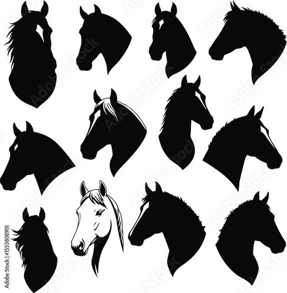 Obraz set of black horse head silhouettes with minimalist logotype vector icon white background