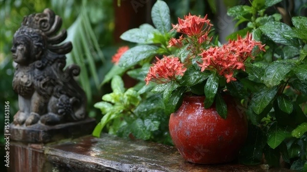 Fototapeta Ixora flowers in a red clay pot beside a weathered garden statue, subtropical backyard after the rain