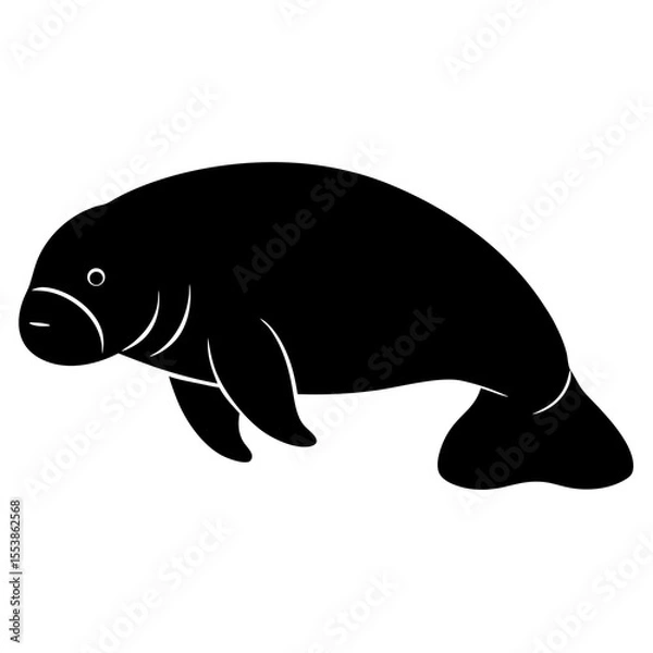 Fototapeta manatee on white background