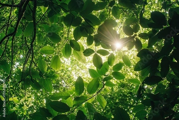 Obraz vibrant leaves, dappled light, sense of natural tranquility