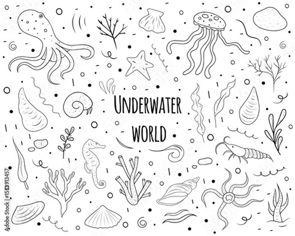 Fototapeta Black and white doodle set with marine flora and fauna. Template for wrapping, textile. Includes marine animals and plants