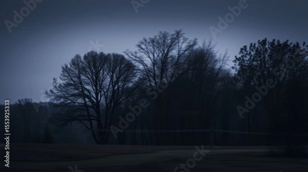 Fototapeta Dark Forest Silhouette: An artistic silhouette of a tranquil forest scene at dusk, where nature's beauty unfolds under a deep, mysterious sky.