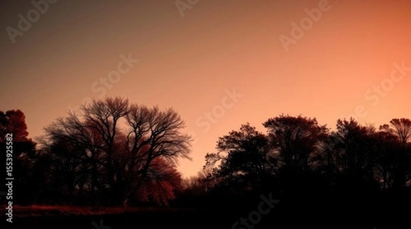 Fototapeta Silhouette of Trees at Dusk: Captivating silhouette of trees against the backdrop of a fiery sunset, where the sky is painted with vibrant hues, casting a dramatic shadow. 