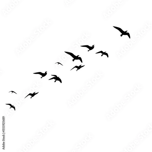 Fototapeta Flock of Flying Birds Silhouette Vector Set for Tattoos and Nature Art