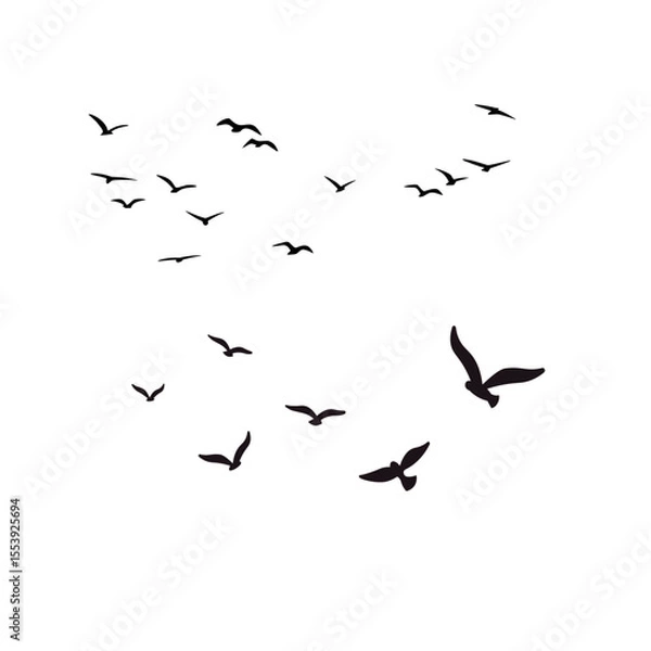 Fototapeta Flock of Flying Birds Silhouette Vector Set for Tattoos and Nature Art
