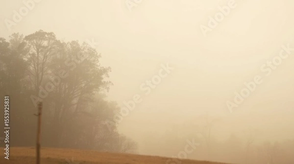 Fototapeta Hazy Landscape: An atmospheric landscape shrouded in a warm, ethereal haze, with silhouettes of trees and a subtle foreground, creating a sense of mystery and depth.