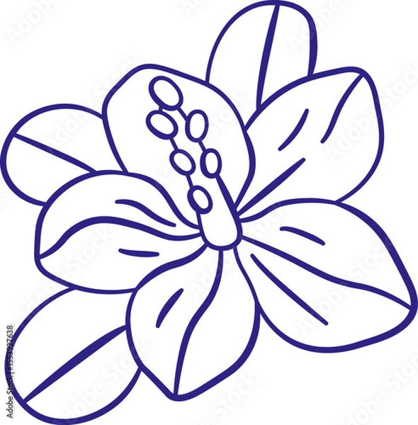 Obraz Tropical Flower Sketch