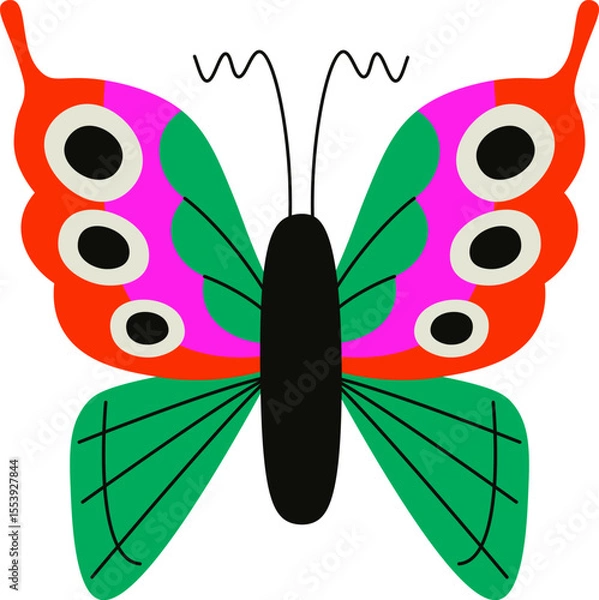 Obraz Colorful Butterfly with Patterned Wings