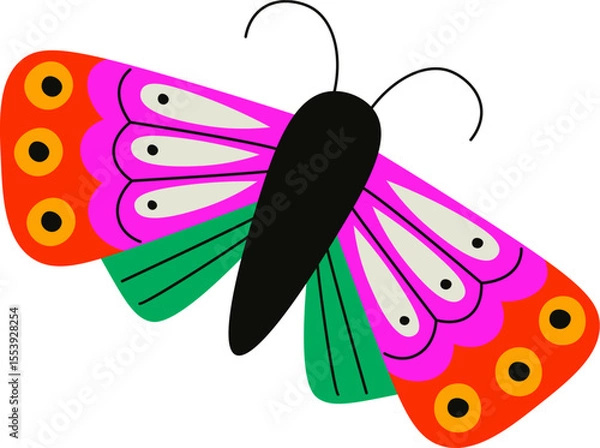 Obraz Colorful Butterfly with Patterned Wings
