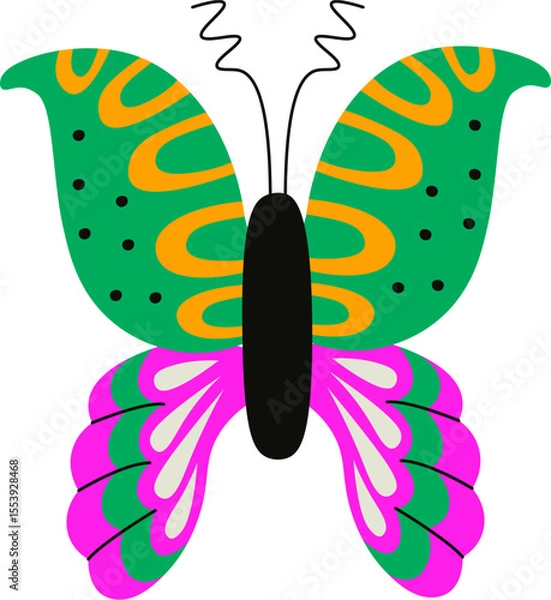 Obraz Colorful Butterfly with Patterned Wings