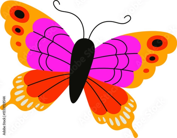 Obraz Colorful Butterfly with Patterned Wings