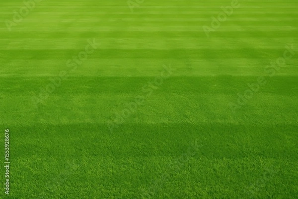 Obraz Lush green grass field in perfect condition