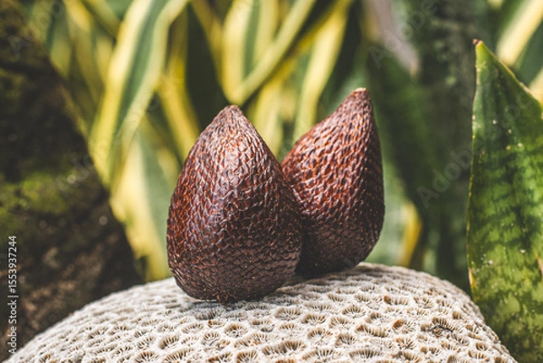 Obraz lychee outdoors